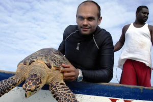 Turks and Caicos Turtle Project