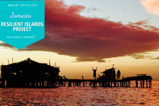 Jamaica&#039;s Resilient Islands Project