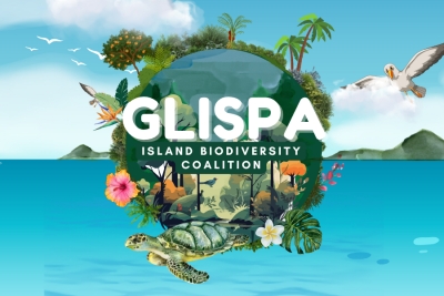 Island Biodiversity Coalition Reports