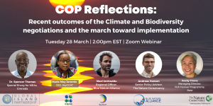 COP Reflections: Recent Outcomes of the Climate and Biodiversity Negotiations and the March towards Implementation