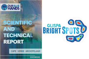 Our Blue Hands: Scientific and Technical Reports