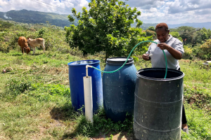 Improving access to water and adapting to climate change in Clarendon, Jamaica