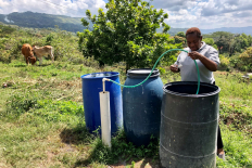 Improving access to water and adapting to climate change in Clarendon, Jamaica