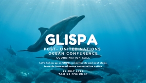 GLISPA's Post-UNOC3 Coordination Call