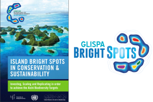Island Bright Spots Booklet