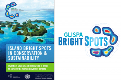 Island Bright Spots Booklet