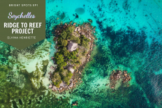 The Seychelles&#039; Ridge to Reef Project